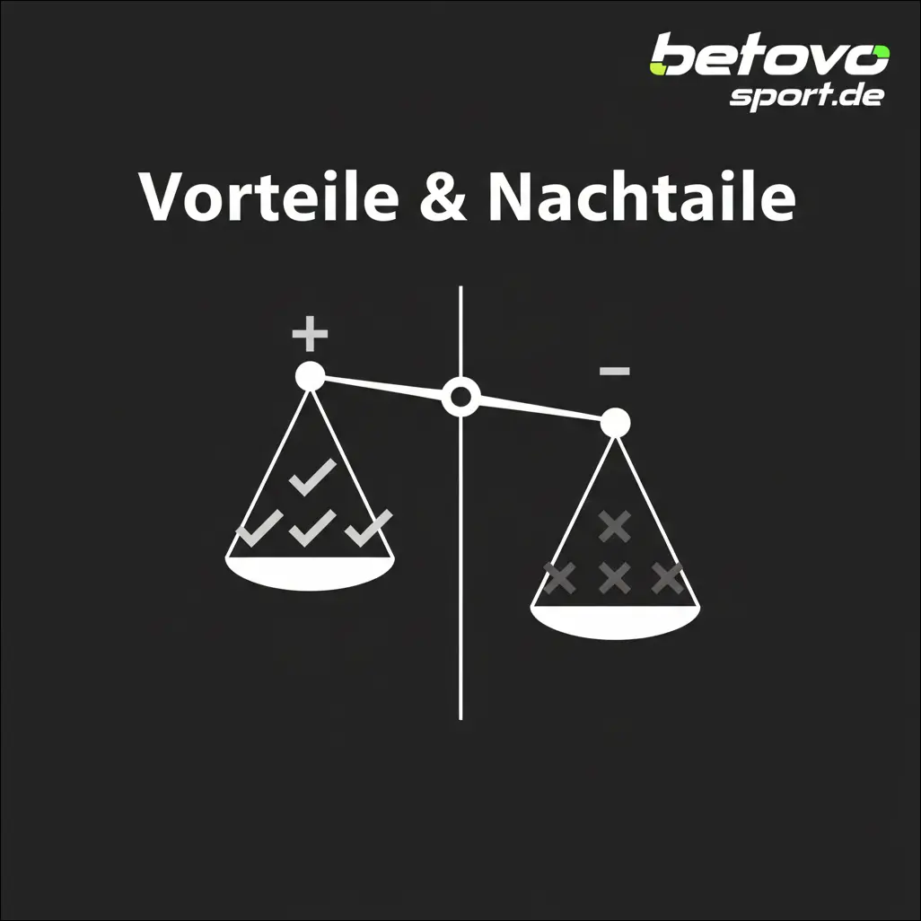 Vorteile & Nachteile